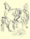 n.19
