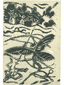 Hymni