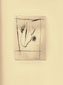 Opere Grafiche - Stampe - Libro dei semi