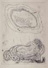 Madre, 1968, 119x168